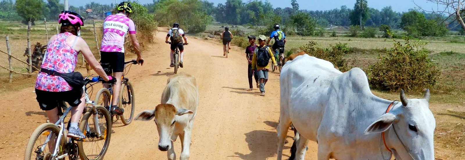 Cambodia Biking The Historical and Ancient Capitals Tour 11 Days